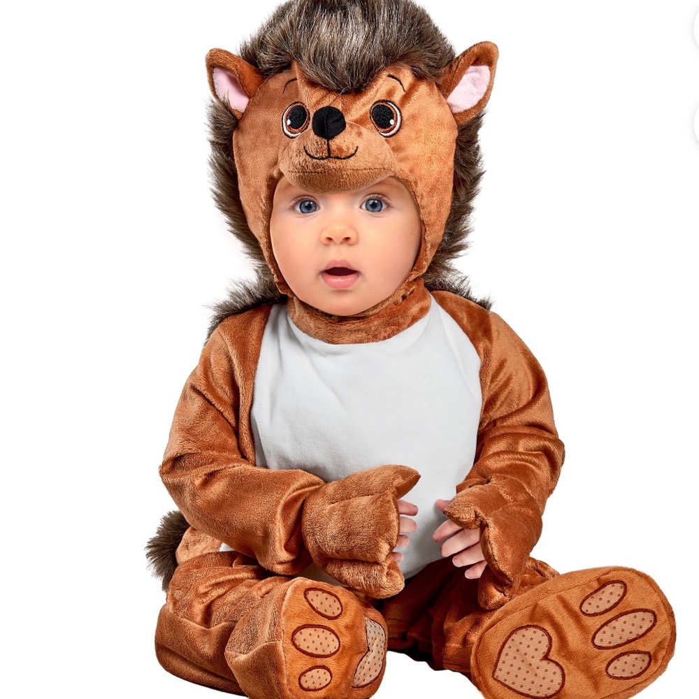 Hedgehog Costume